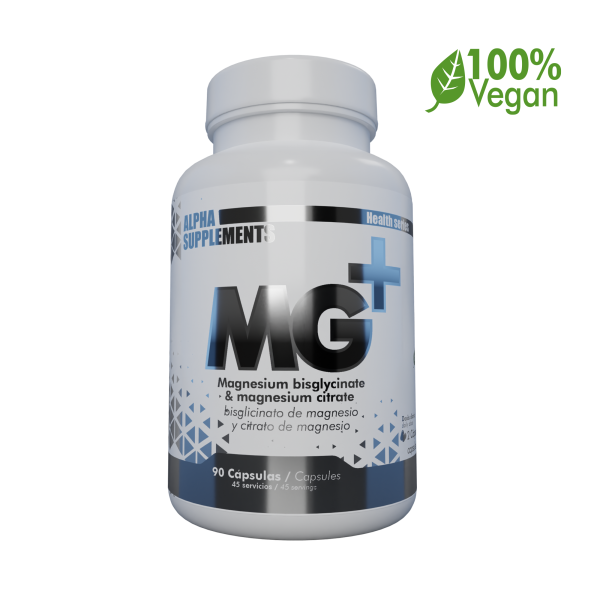 MG+RENDER