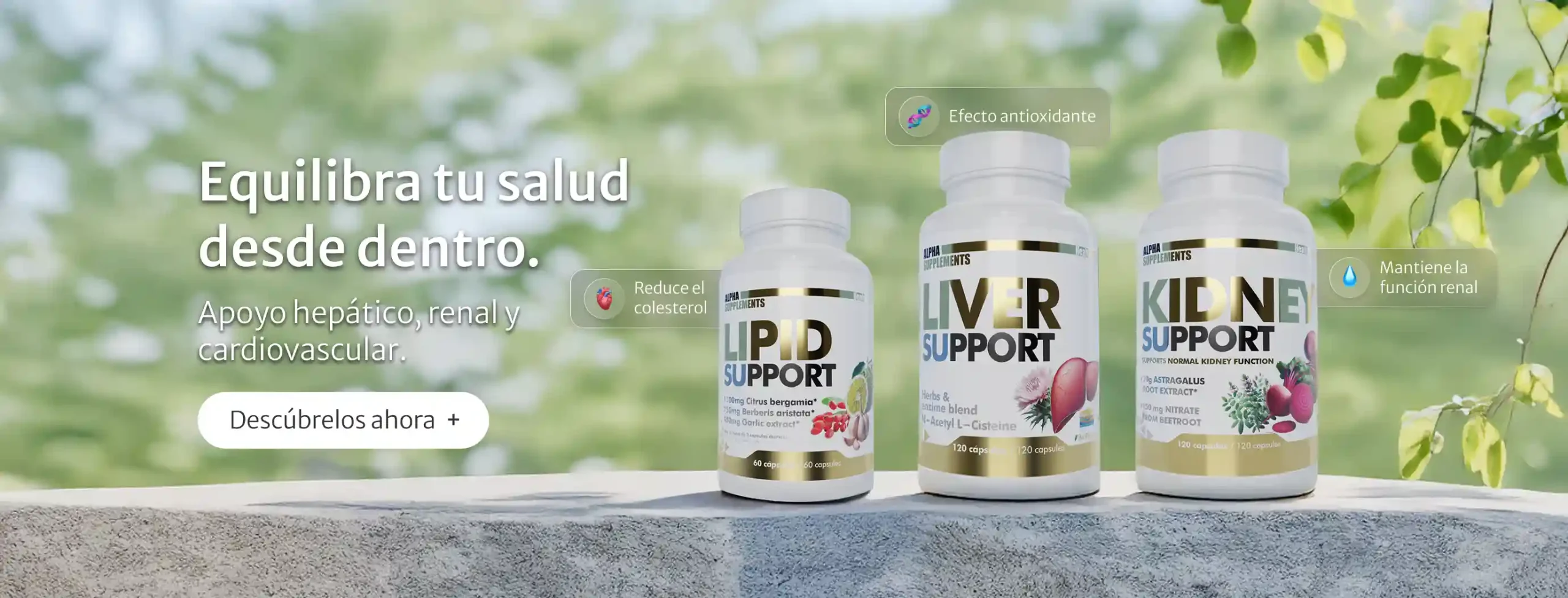 Imagen responsive